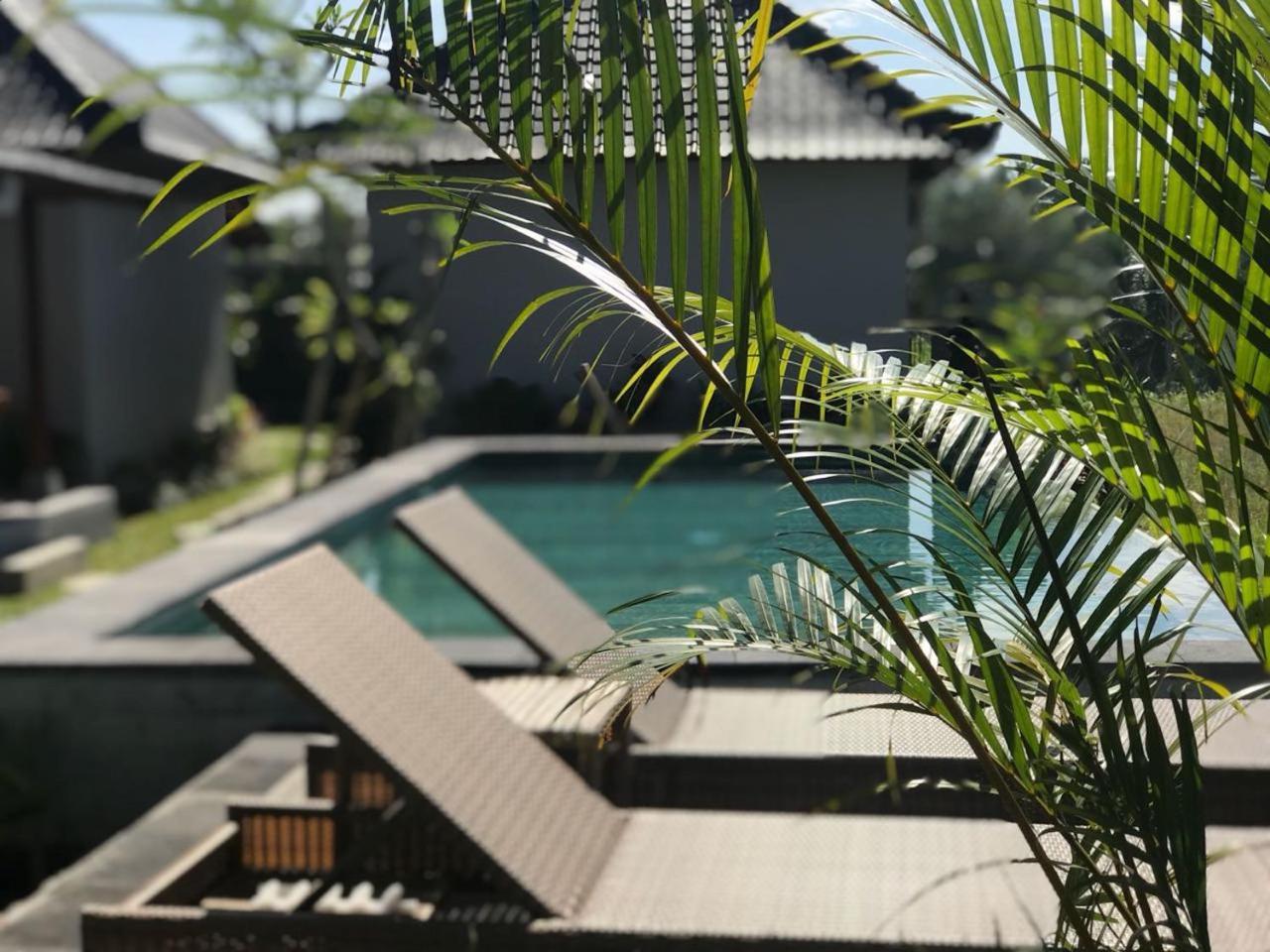 Paraiso Cottage Ubud المظهر الخارجي الصورة