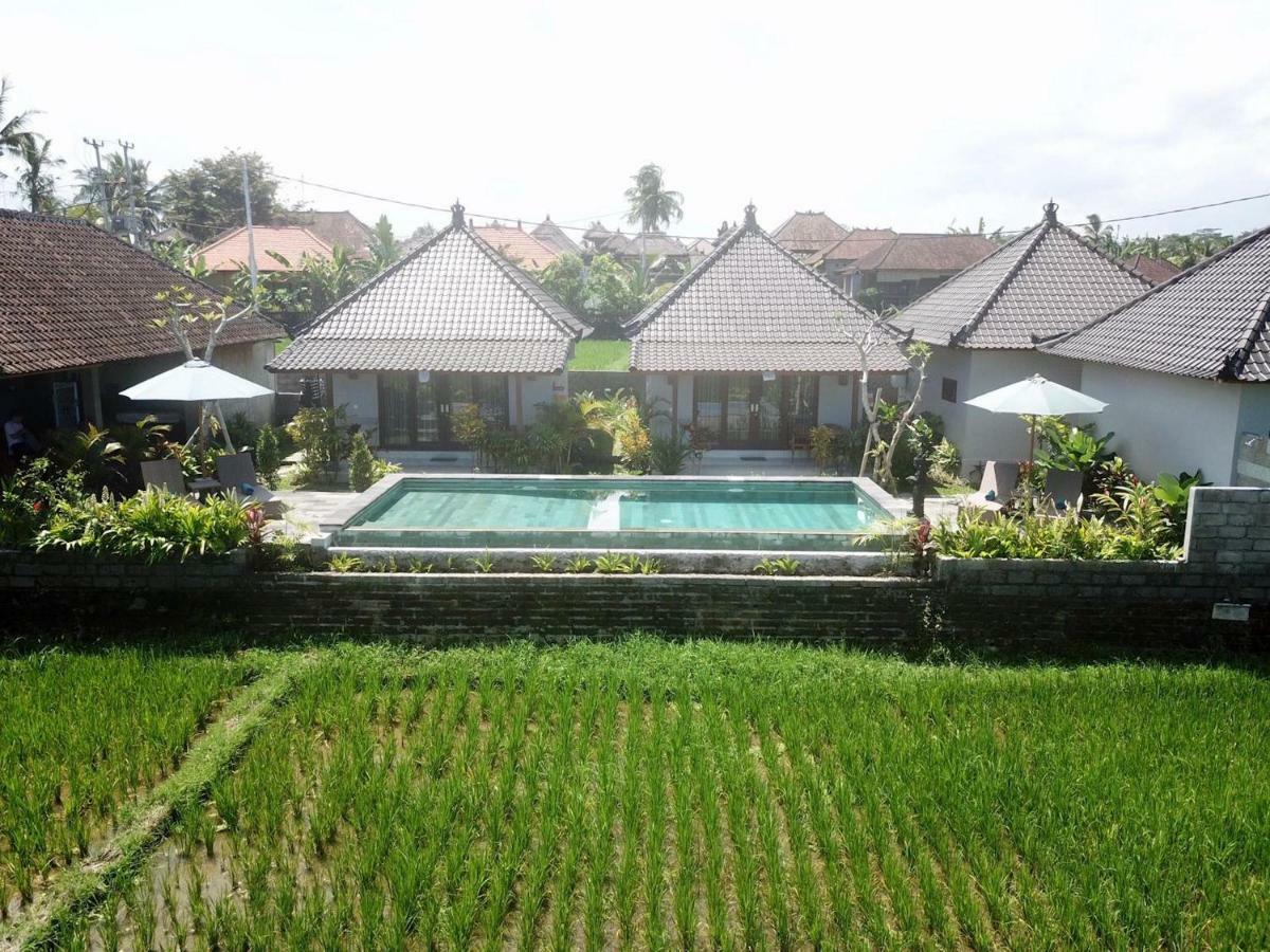 Paraiso Cottage Ubud المظهر الخارجي الصورة
